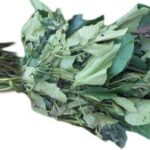 Ugu (Pumpkin Leaves) – $10 per bunch - Image 2