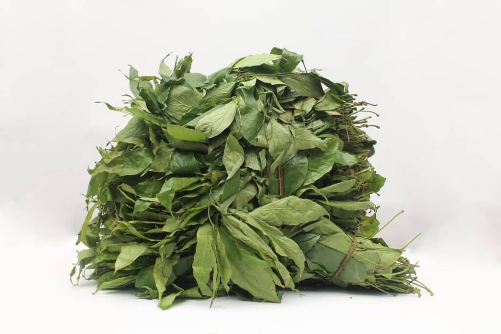 Afang Leaves – $10 per pack