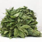 Afang Leaves – $10 per pack - Image 3