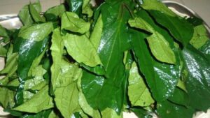 frozen leaves for nigerian soups