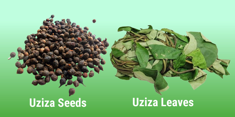 Uziza Leaves – $10 per pack